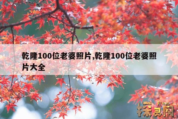 乾隆100位老婆照片,乾隆100位老婆照片大全