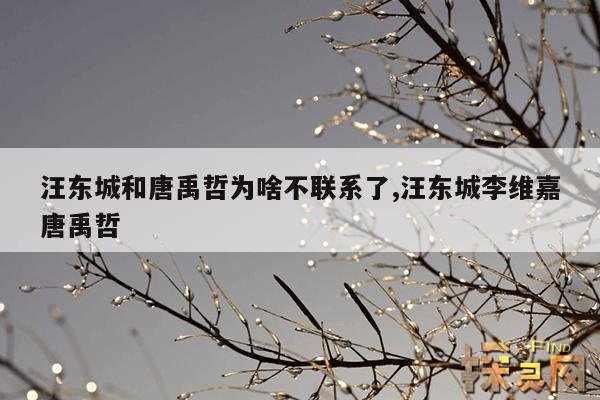汪东城和唐禹哲为啥不联系了,汪东城李维嘉唐禹哲