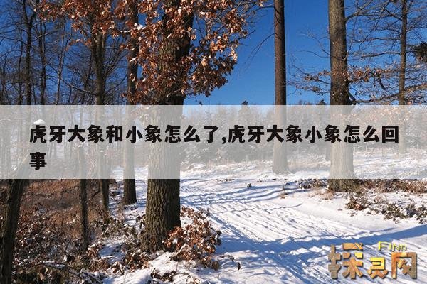 虎牙大象和小象怎么了,虎牙大象小象怎么回事