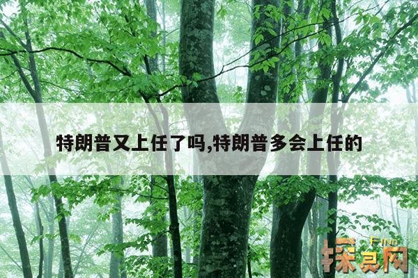 特朗普又上任了吗?,特朗普继续上任总统吗?