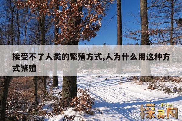 接受不了人类的繁殖方式,人为什么用这种方式繁殖