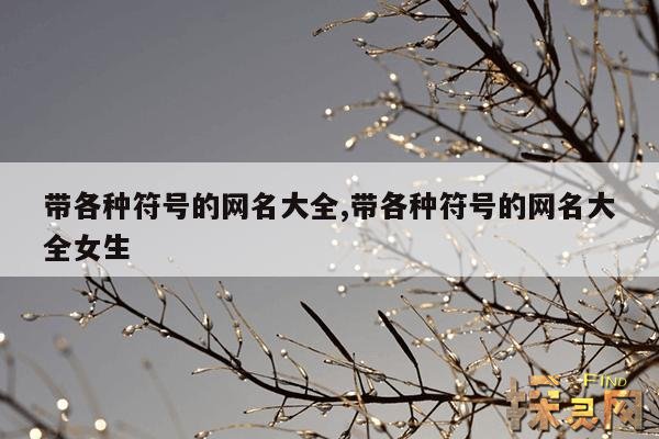 带各种符号的网名大全,带各种符号的网名大全女生