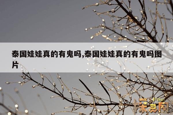 泰国娃娃真的有鬼吗,泰国娃娃真的有鬼吗图片