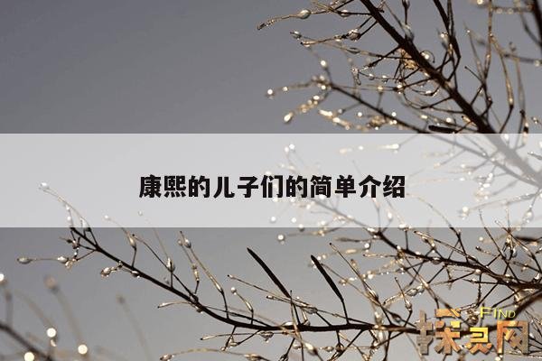 康熙的儿子们的简单介绍
