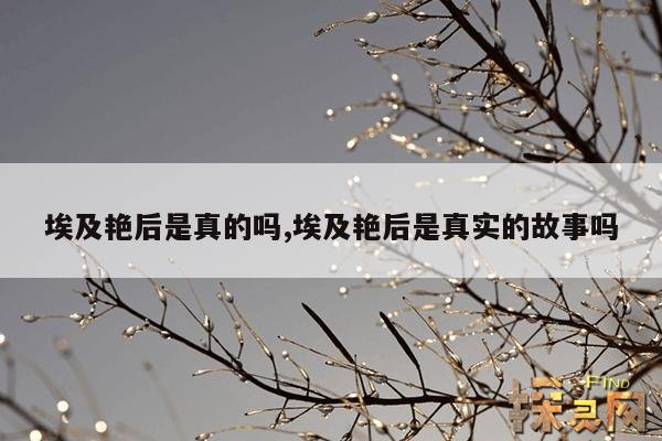 埃及艳后是真的吗？,埃及艳后真的那么漂亮吗？
