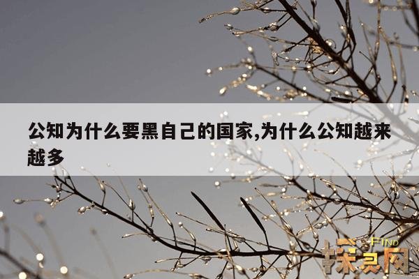 公知为什么要黑自己的国家,为什么公知越来越多