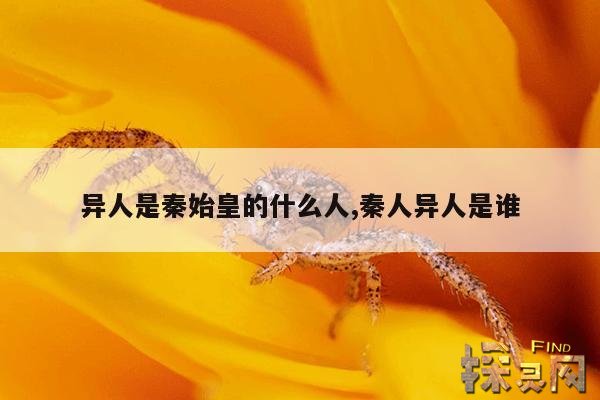 异人是秦始皇的什么人,秦人异人是谁