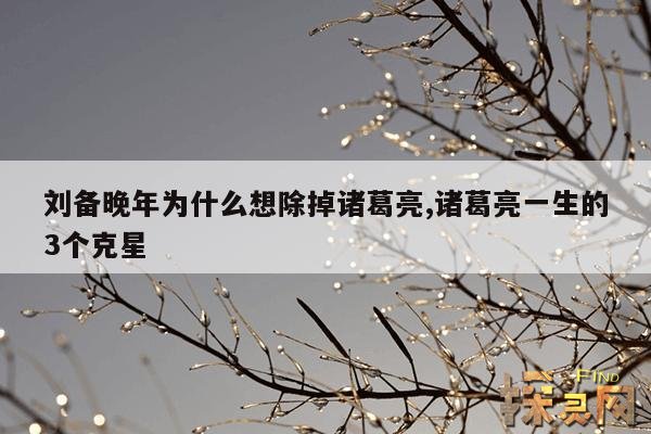 刘备晚年为什么想除掉诸葛亮,诸葛亮一生的3个克星