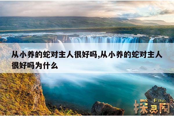 从小养的蛇对主人很好吗,从小养的蛇对主人很好吗为什么