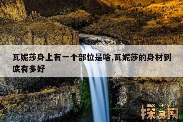 瓦妮莎身上有一个部位是啥,瓦妮莎的身材到底有多好