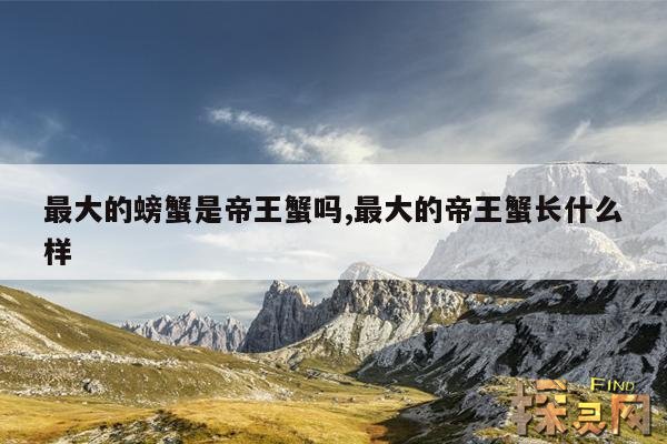 最大的螃蟹是帝王蟹吗,最大的帝王蟹长什么样