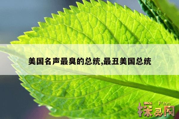 美国名声最臭的总统,最丑美国总统