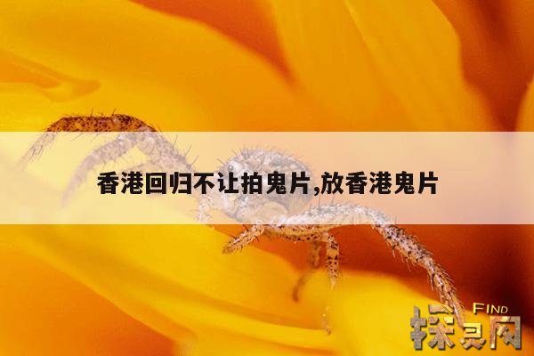 香港回归不让拍鬼片,放香港鬼片