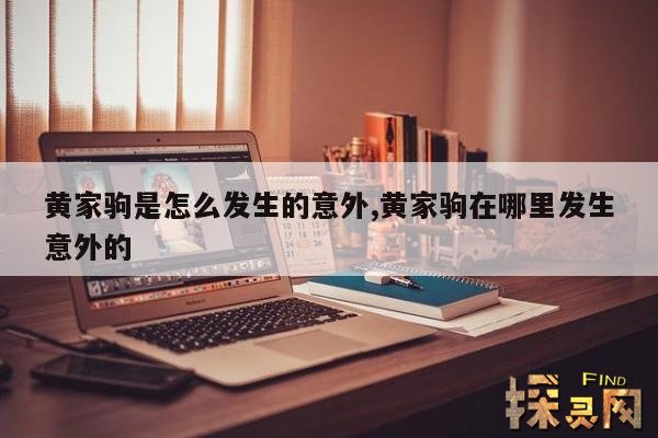 黄家驹是怎么发生的意外,黄家驹是怎样的存在