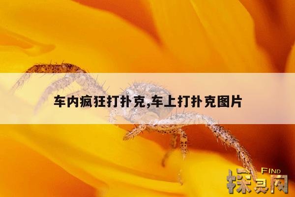 车内疯狂打扑克,车内疯狂打扑克被大爷看见