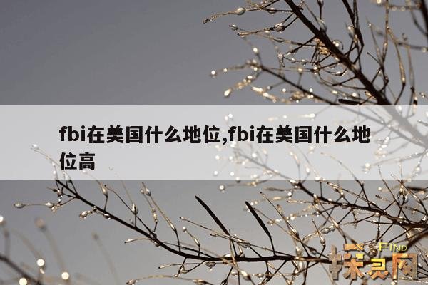 fbi在美国什么地位,fbi在美国什么地位高