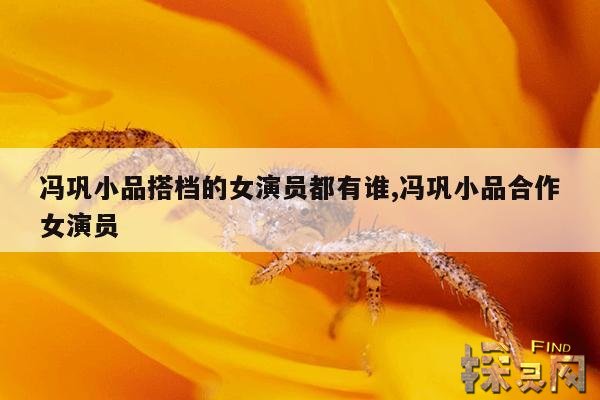 冯巩小品搭档的女演员都有谁,冯巩小品合作女演员