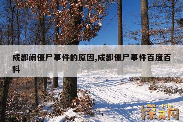 成都闹僵尸事件的原因,成都僵尸事件百度百科