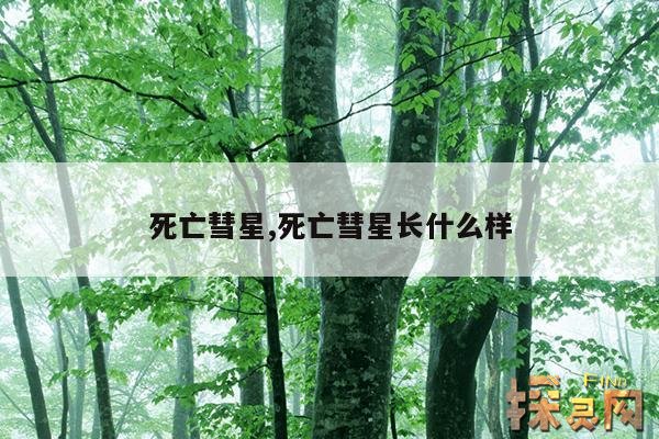 死亡彗星,彗星之死