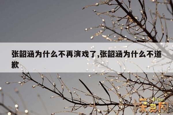 张韶涵为什么不再演戏了,张韶涵为什么不道歉