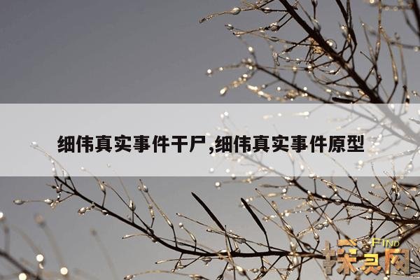 细伟真实事件干尸,细伟真实故事