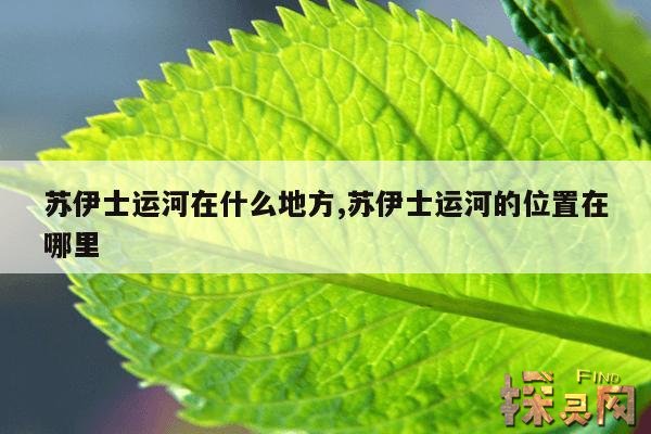 苏伊士运河在什么地方,苏伊士运河的位置在哪里