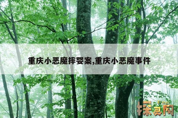 重庆小恶魔摔婴案,重庆小恶魔事件