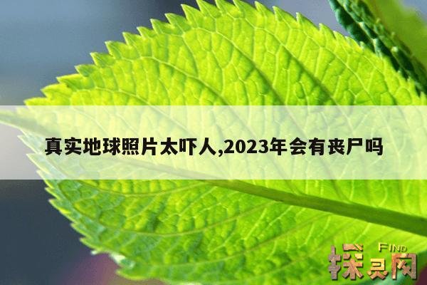 真实地球照片太吓人,2023年会有丧尸吗