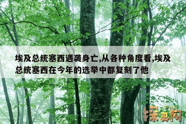 埃及总统塞西遇袭身亡,从各种角度看,埃及总统塞西在今年的选举中都复刻了他