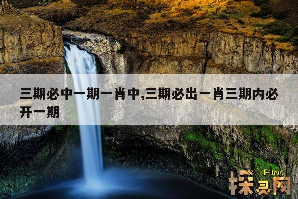 三期必中一期一肖中,三期必中特一肖2019