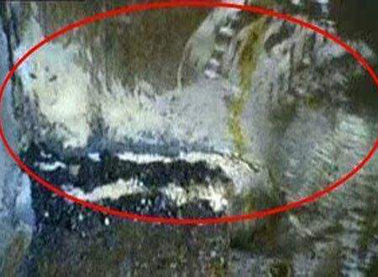 1981年骇人听闻的香港狐仙灵异事件(图),香港狐仙谋杀案