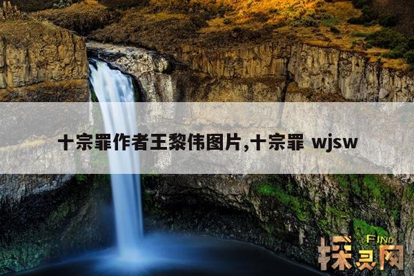 十宗罪作者王黎伟图片,十宗罪 wjsw