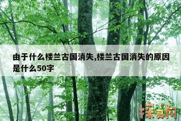 由于什么楼兰古国消失,楼兰古国消失的原因是什么50字
