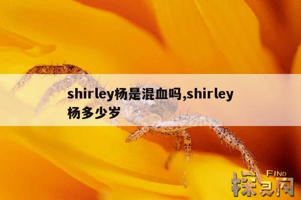 shirley杨是混血吗,shirley杨多少岁