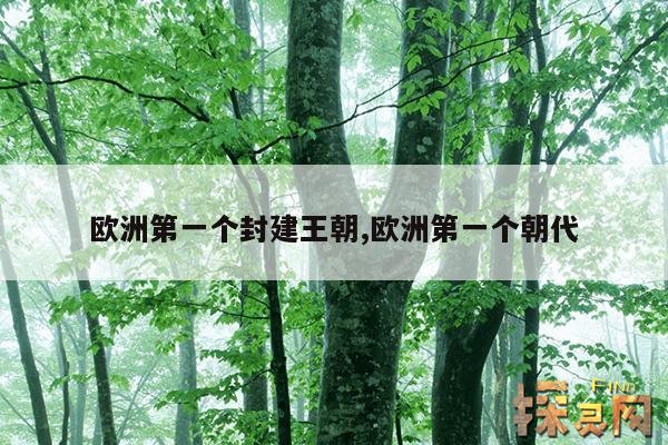 欧洲第一个封建王朝,欧洲第一个朝代