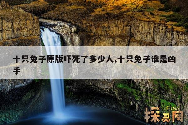 十只兔子原版吓死了多少人,十只兔子谁是凶手