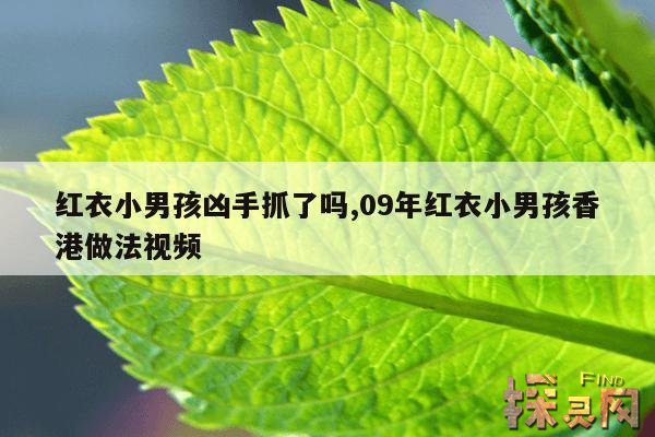 红衣小男孩凶手抓了吗?,剧本杀红衣小男孩身份关系