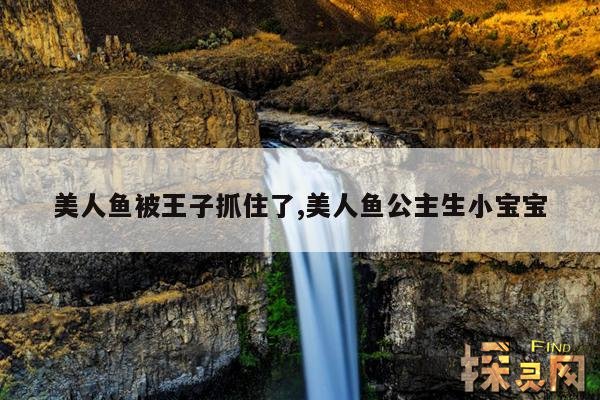 美人鱼被王子抓住了,美人鱼公主生小宝宝