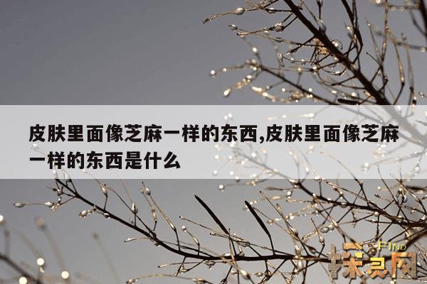 皮肤里面像芝麻一样的东西,皮肤里面像芝麻一样的东西是什么