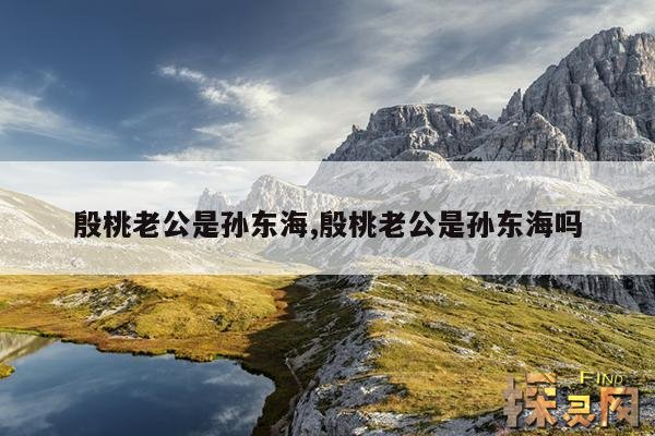 殷桃老公是孙东海,殷桃丈夫孙东海是谁