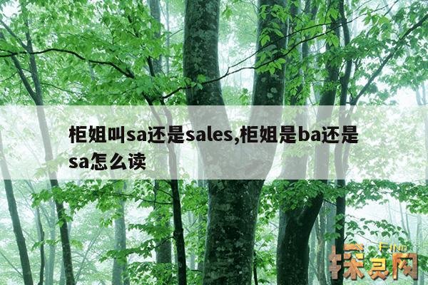 柜姐叫sa还是sales,柜姐是ba还是sa怎么读