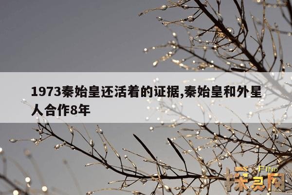 1973秦始皇还活着的证据,秦始皇和外星人合作8年