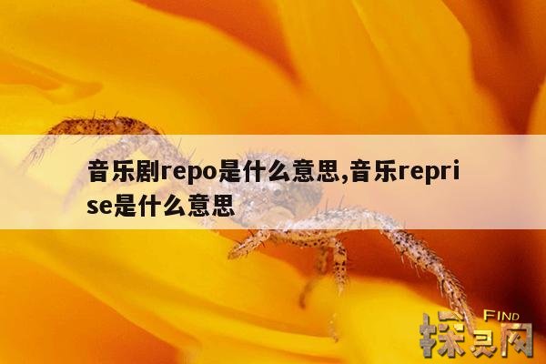 音乐剧repo是什么意思,音乐reprise是什么意思