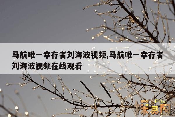 马航唯一幸存者刘海波视频,马航刘海波在哪找到的