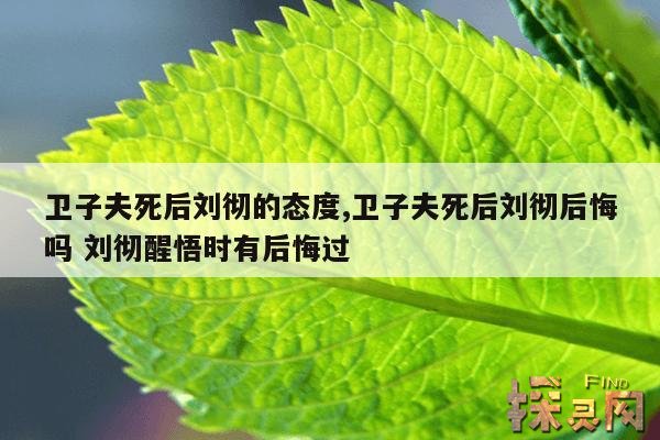 卫子夫死后刘彻的态度,卫子夫死后刘彻后悔吗 刘彻醒悟时有后悔过