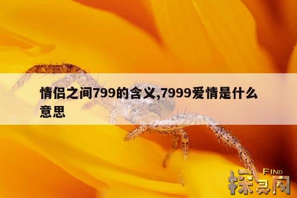 情侣之间799的含义,爱情7996是什么意思
