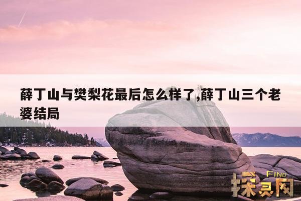 薛丁山与樊梨花最后怎么样了,薛丁山与樊梨花在第几集相遇的?