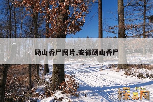 砀山香尸图片,安徽砀山香尸