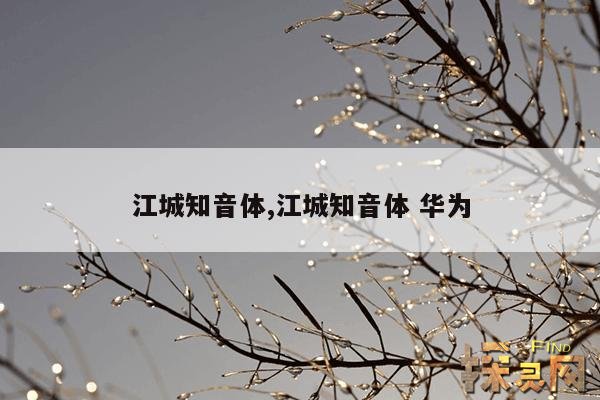 江城知音体,江城知音体 华为