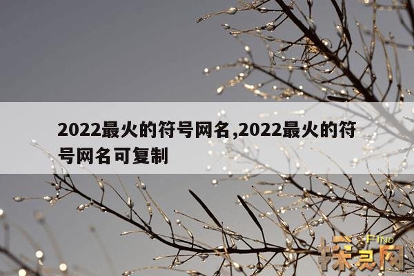 2022最火的符号网名,2022最火的符号网名可复制